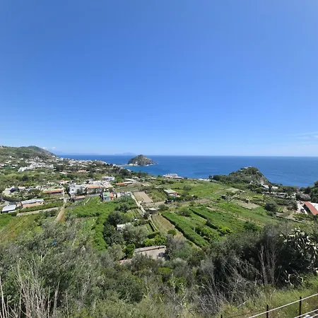 Eleonora, Un Angolo Di Paradiso Ad Ischia