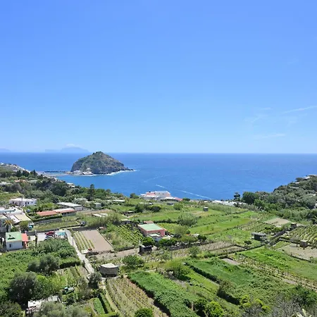 Eleonora, Un Angolo Di Paradiso Ad Ischia Sant'Angelo (Isola d'Ischia)