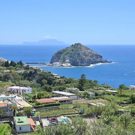 Eleonora, Un Angolo Di Paradiso Ad Ischia * Sant'Angelo (Isola d'Ischia)