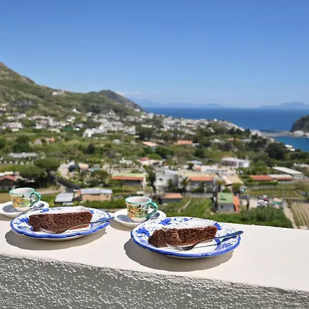 Guest house Eleonora, Un Angolo Di Paradiso Ad Ischia