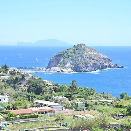 Eleonora, Un Angolo Di Paradiso Ad Ischia